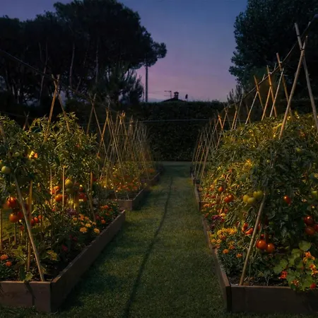 Отель Hermitage & Dei Marmi - Starhotels Collezione